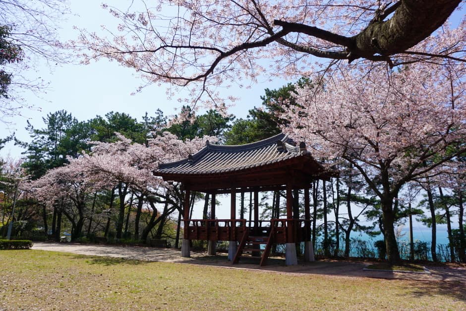 모충공원(3)