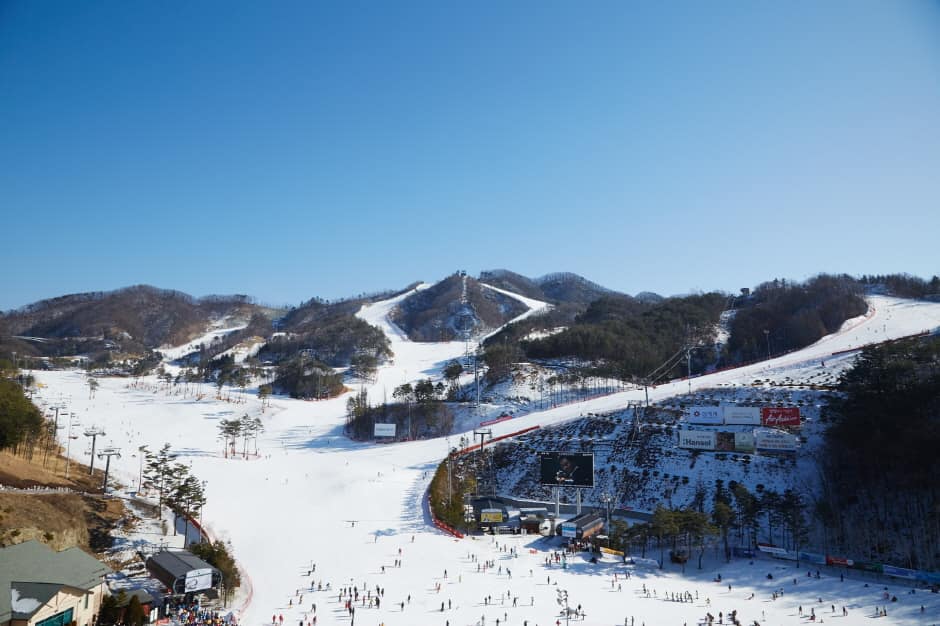 오크밸리스키장_8