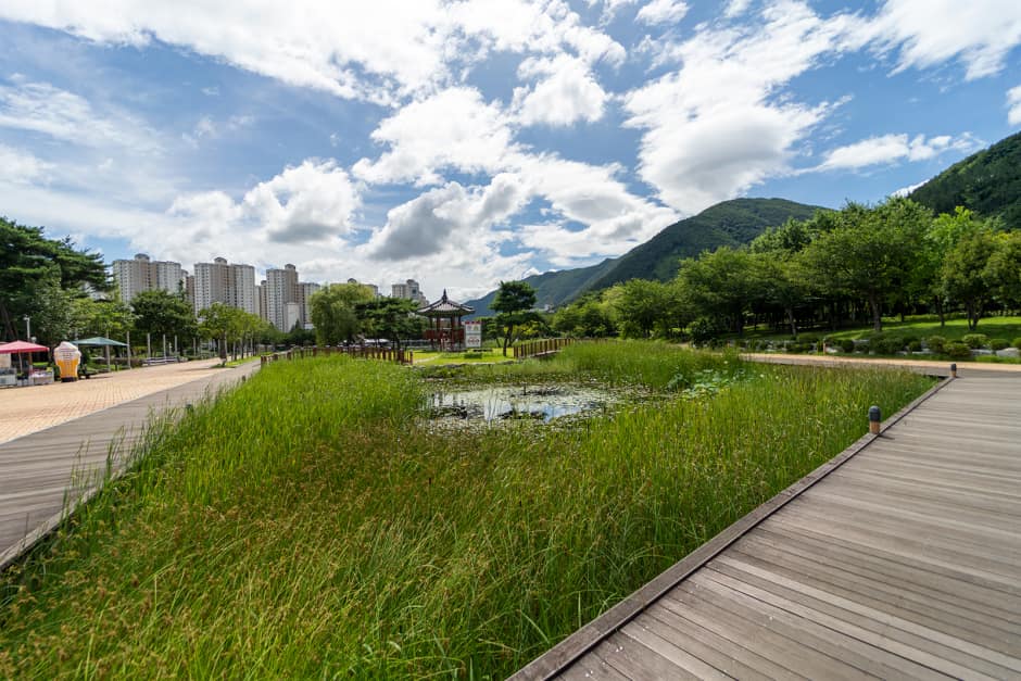 03_경남_양산시_양산워터파크_연못_리사이징