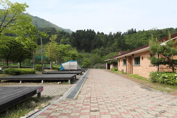 경기_가평군_연인산다목적캠핑장_풍경3