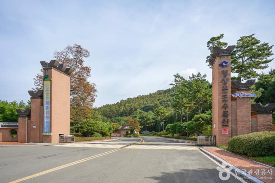 경북_포항_경상북도수목원 (18)