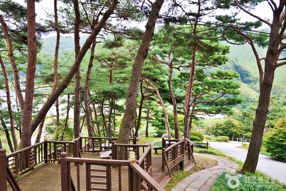 진천 배티 성지 (10)