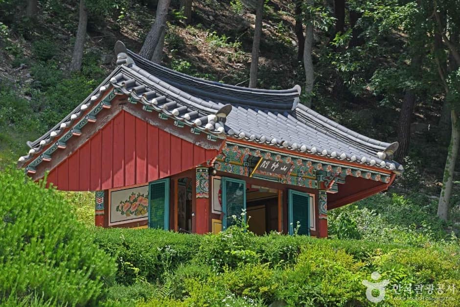 일락사 (7)