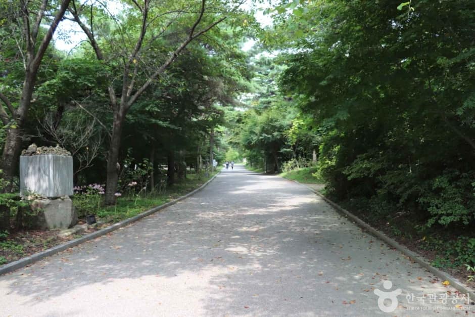 덕숭산 (5)_e