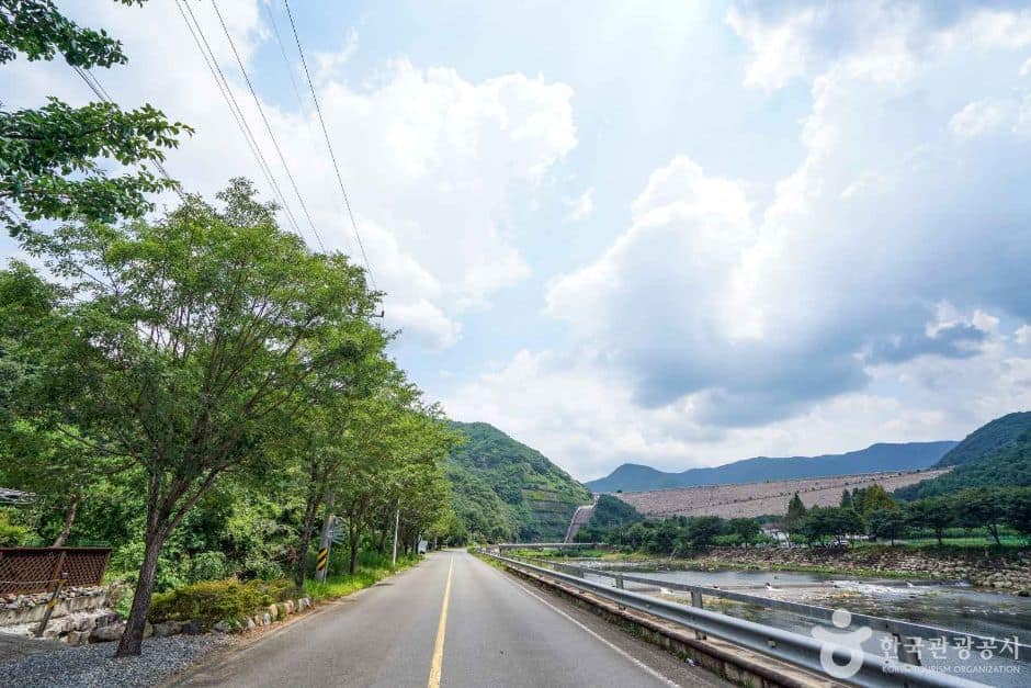 단장 이팝꽃 터널길 (7)