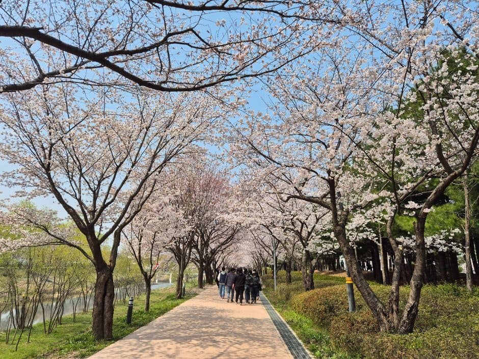 [경기옛길 삼남길 제4길] 서호천길 (1)