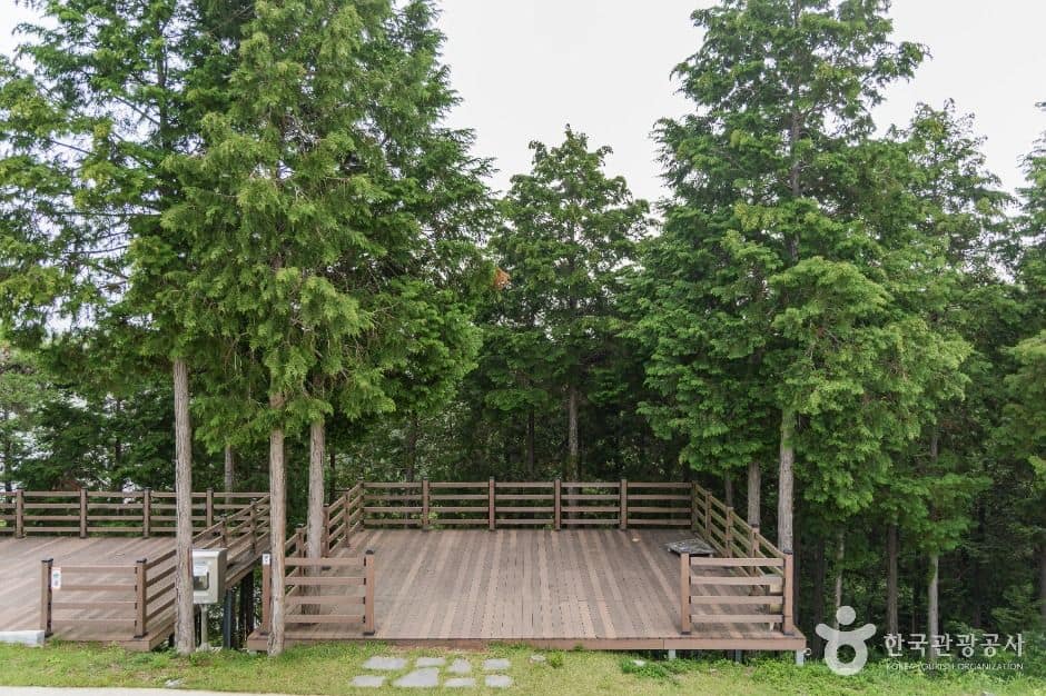 사천_비토국민여가캠핑장 (7)
