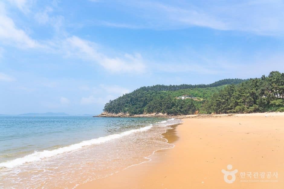 보령_사창해수욕장 (4)