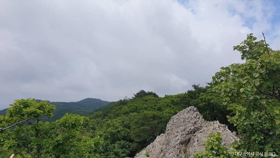 대구_최정산 (6)