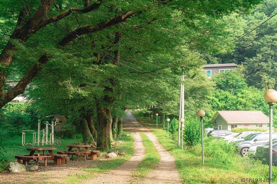 전북 완주 가볼만한곳_상관편백숲_3-8