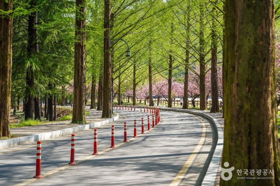 구미_금오산도립공원 (1)