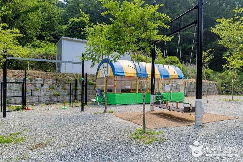 진천_스타밸리캠핑장 (6).jpg
