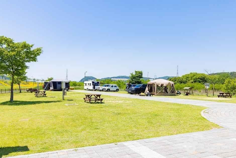 청주_현도오토캠핑장 (2).jpg