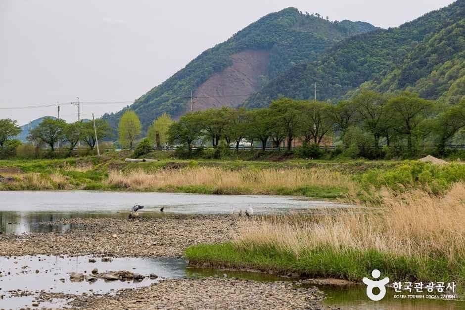 괴산_청천수변공원 (4).jpg