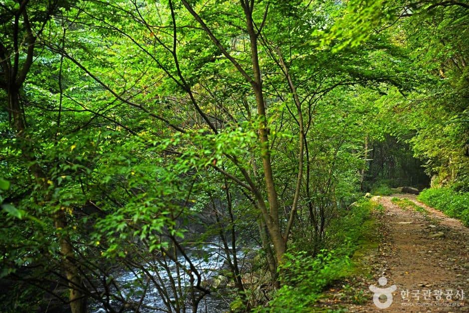 덕산계곡 (7)