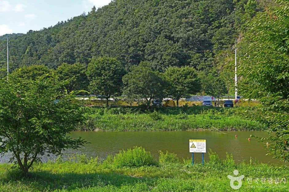 두남천 (6)