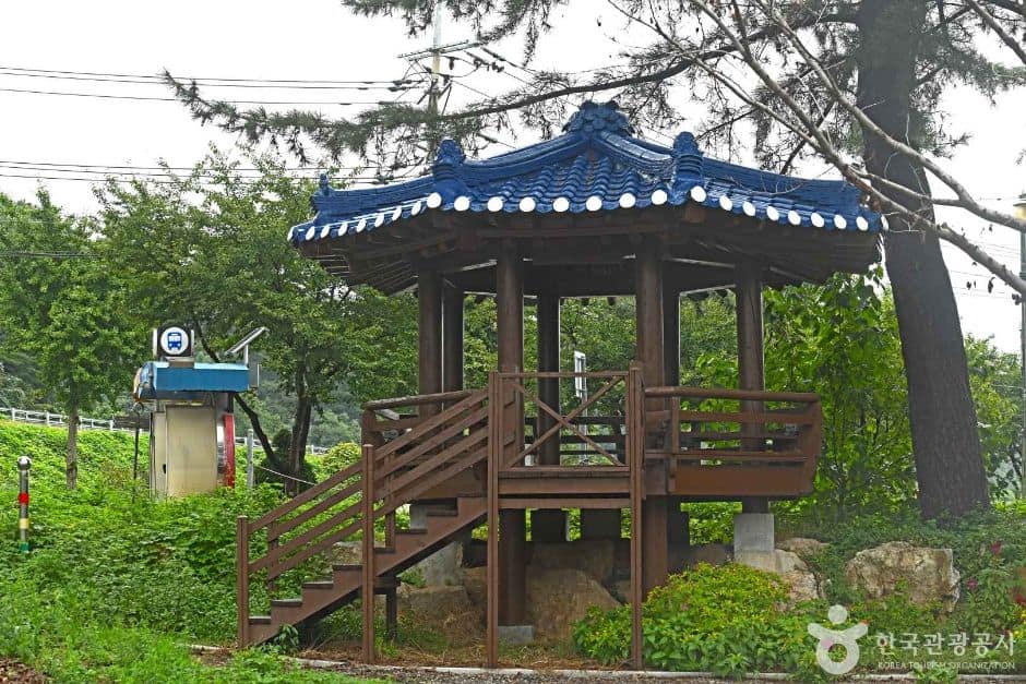 재동유원지 (1)