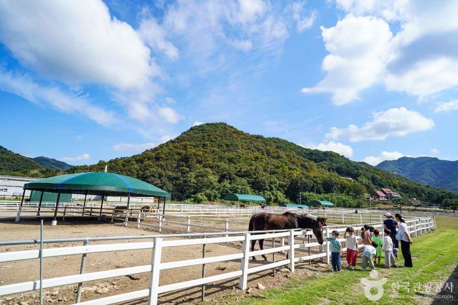 경기_연천_연천승마공원 (7)