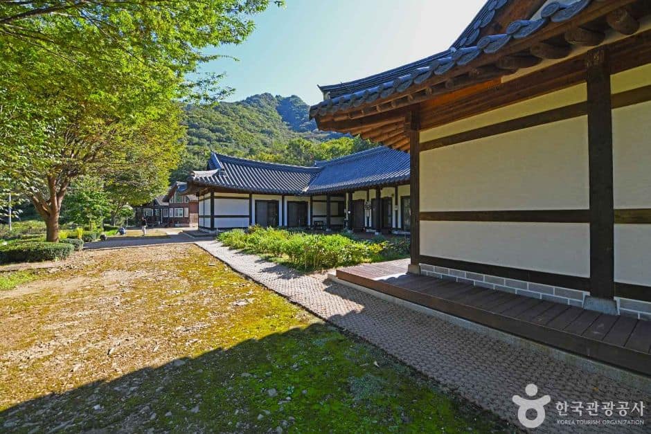 강원_화천_화천 산약초 마을 (2)
