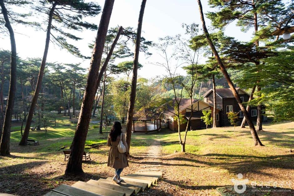 안면도자연휴양림