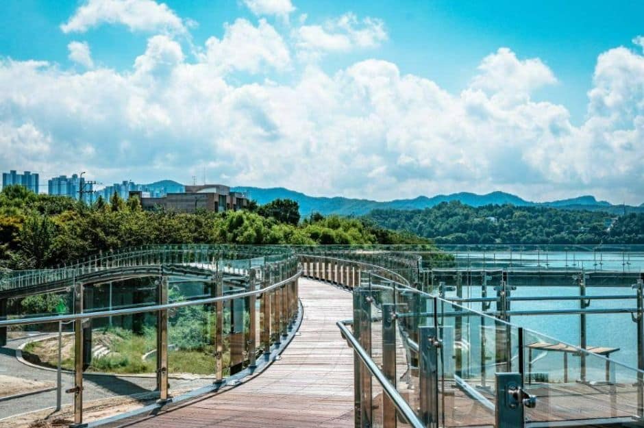 근화수변 문화광장숲 (3)