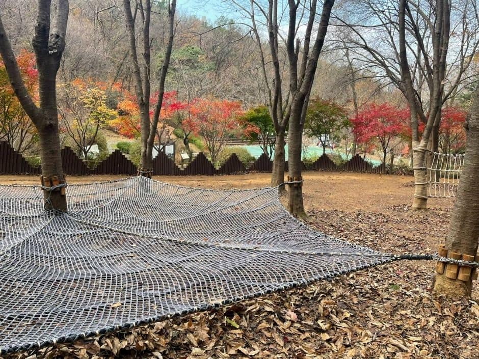 의정부_청사초롱 유아숲체험원 (2)