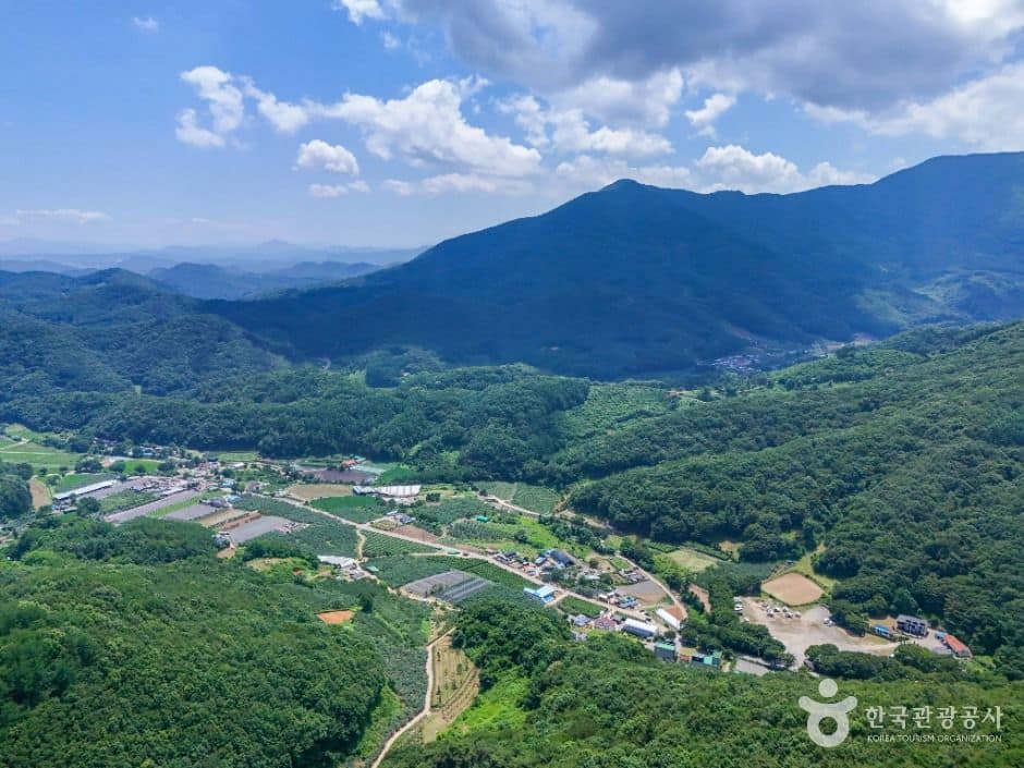 문경_운달산 (2)