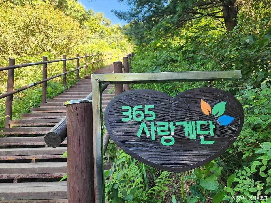 창원_무학산 (7)