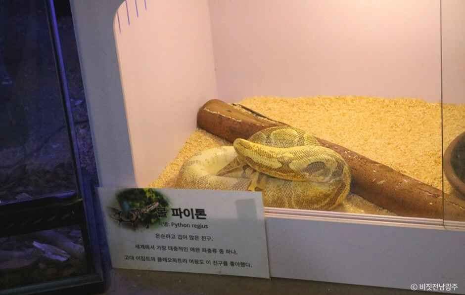 전남광주_광주벅스랜드 (6).jpg