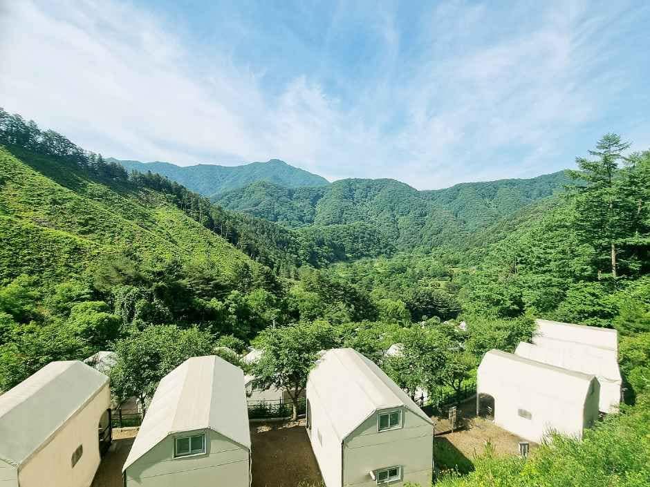 가평_가평명지산카라반글램핑 (7).jpg
