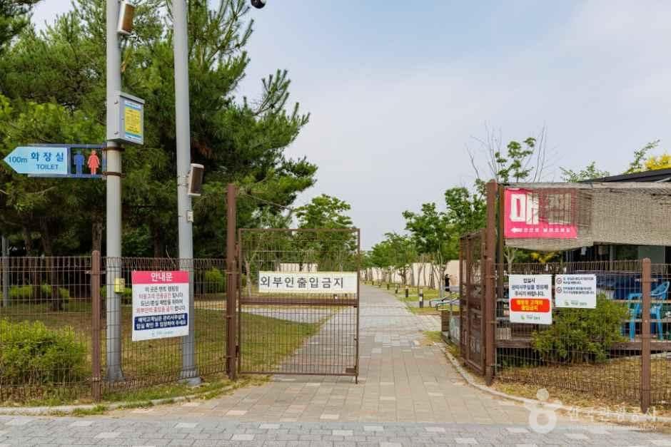 인천_영종씨사이드캠핑장 (8).jpg