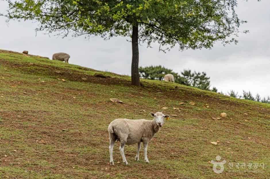 남해_남해 양모리학교 (2).jpg