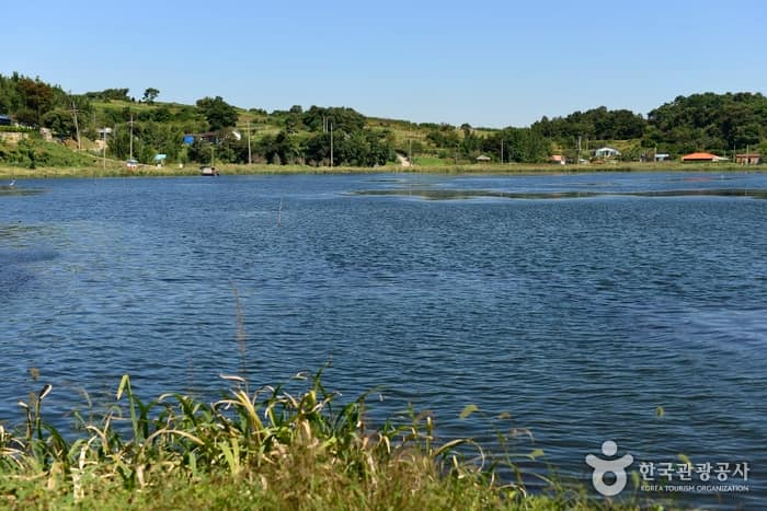 충남_보령_진죽 저수지05
