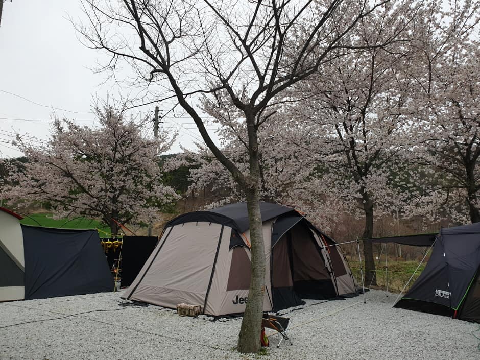 월성오토캠핑장2