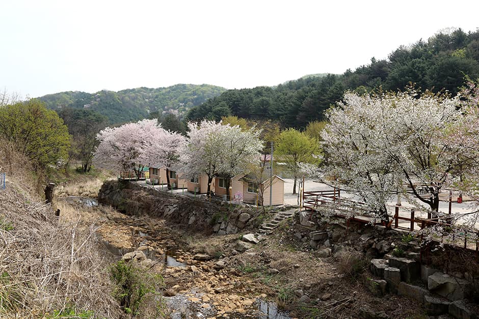 경기도_포천시_깊이울관광농원_전경