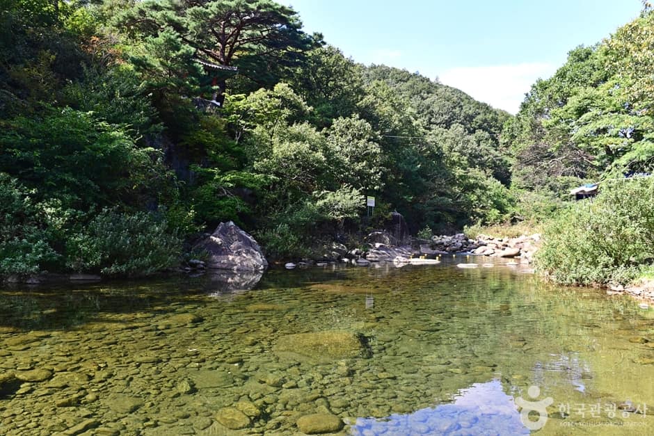 전남_광양_백운산 동곡계곡 (2)