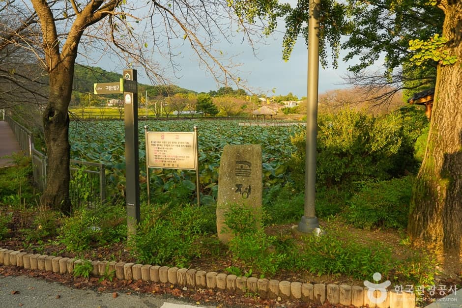 골정 저수지 (1)