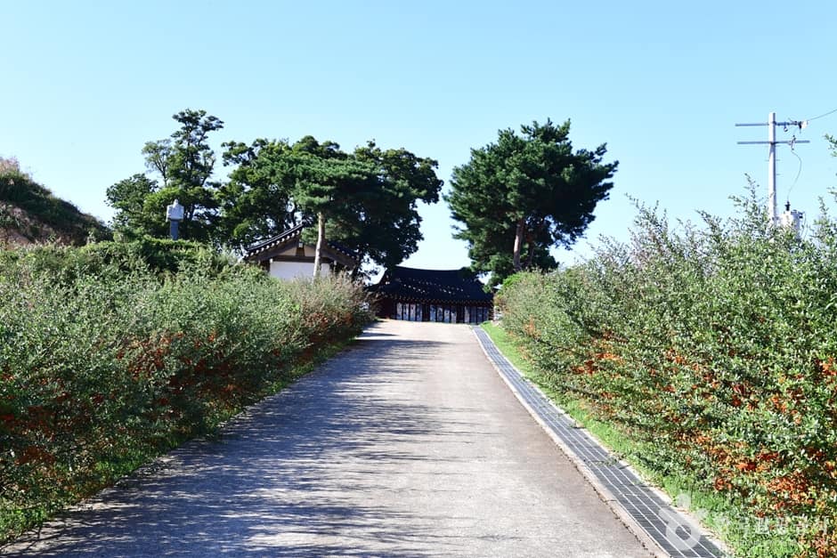 전남_영암_영암읍성 (1)