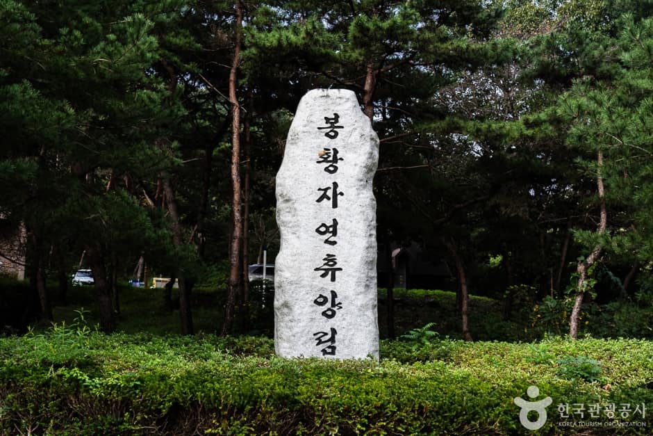 봉황자연휴양림 (1)