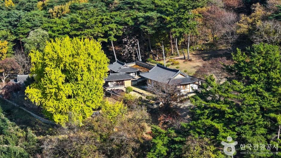 금시당 (1)