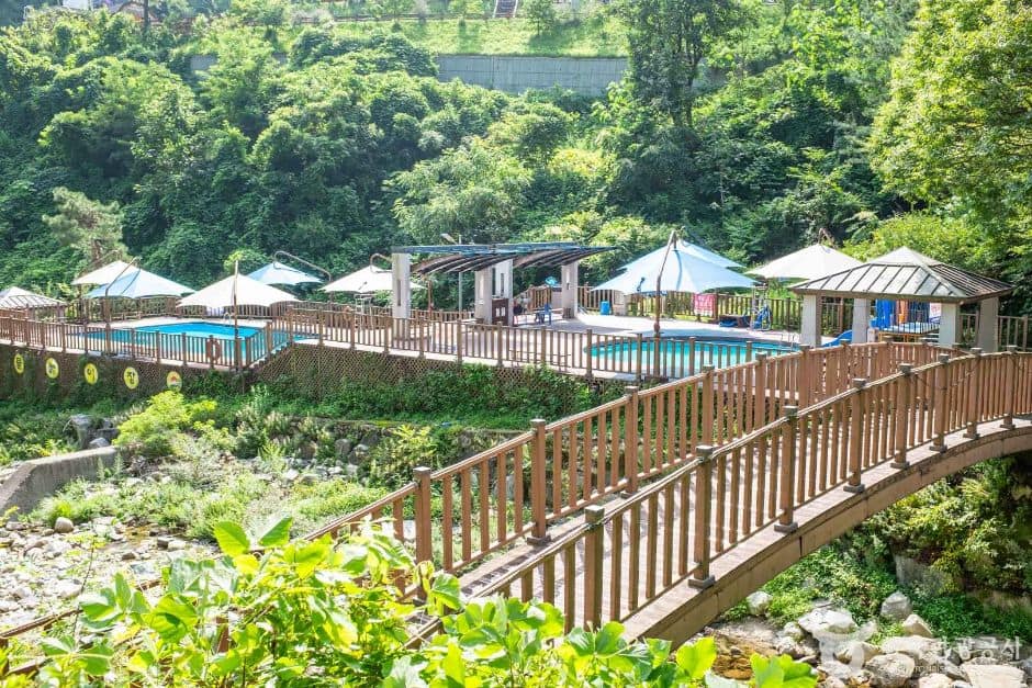 경북_김천_수도산자연휴양림 (2)