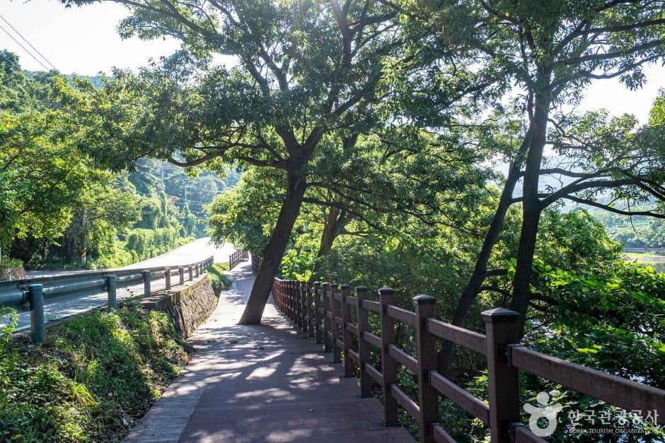 칠곡_유학지 수변공원 (6)