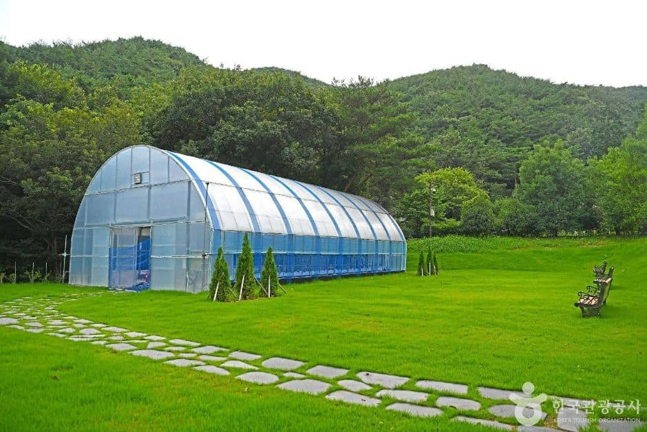 순천_순천자연휴양림 (7)