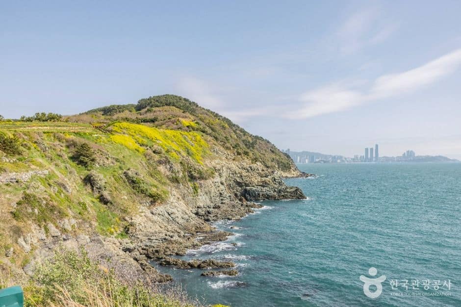 부산_이기대 (부산 국가지질공원) (8)