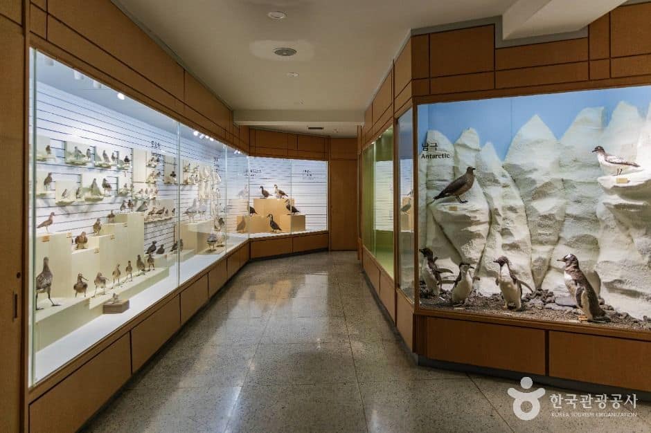 서울_경희대학교 자연사박물관 (2)