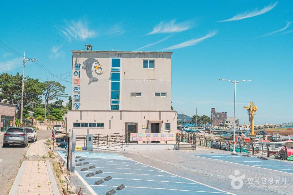 울산_주전항 (1)
