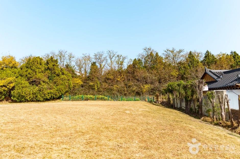 경주_경주 동방동 와요지 (2)