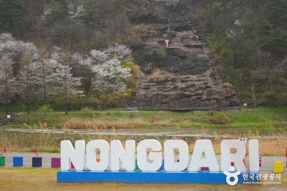 충북_진천_진천 농다리_외부_1.JPG