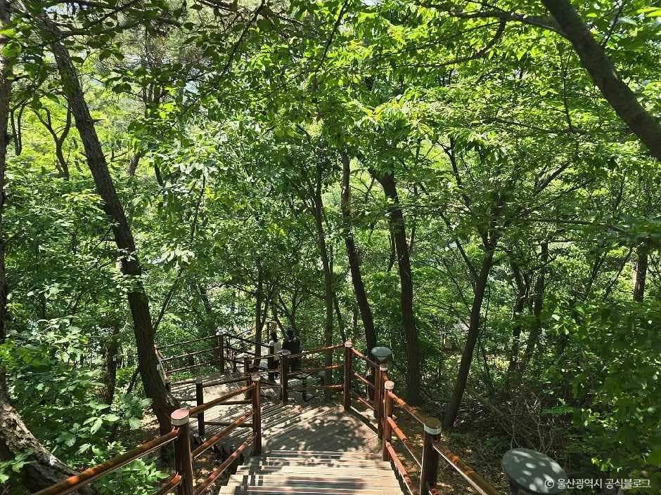 울산_명덕호수공원 (6).jpg