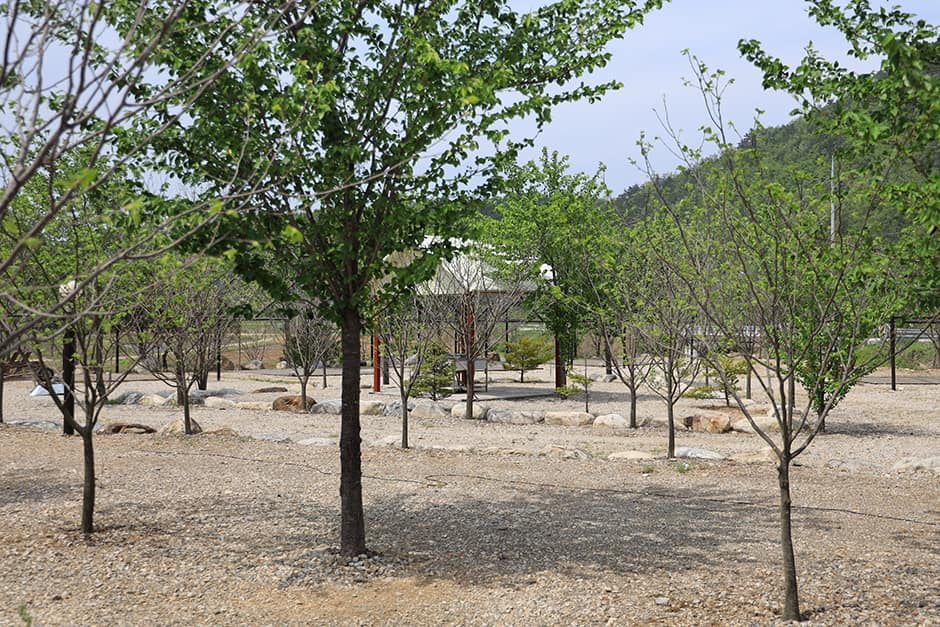 풀앤밸리야영장_전경